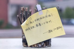 創意制作，一起開開腦洞
