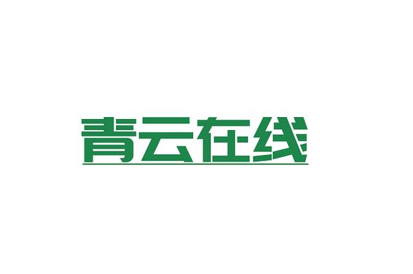 開發(fā);大數(shù)據(jù)服務(wù);數(shù)據(jù)處理服務(wù);軟件外包服務(wù);網(wǎng)絡(luò)與信息安全軟件開發(fā)
